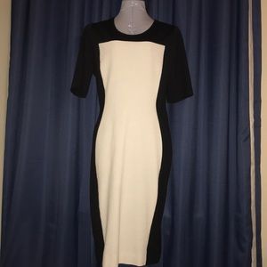 Black and White VENUS Bodycon Dress